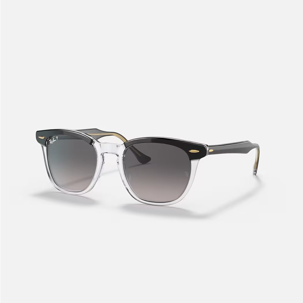 Ray-Ban Gradient Black and Clear Sunglasses